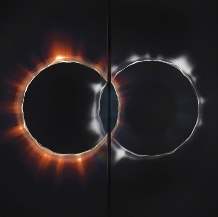 Dual — The Rose